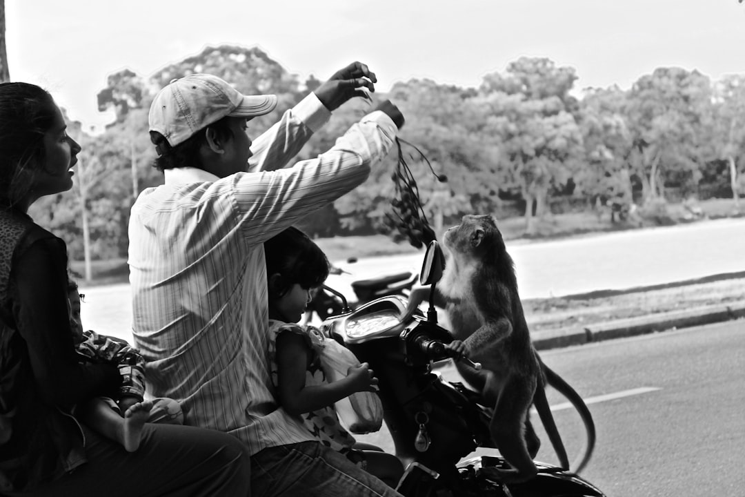 découvrez notre sélection de motos familiales, alliant confort, sécurité et aventures partagées. parfaites pour des balades inoubliables en famille, nos motos offrent une expérience de conduite agréable pour tous. explorez les meilleures options pour des moments de loisirs en toute sérénité.